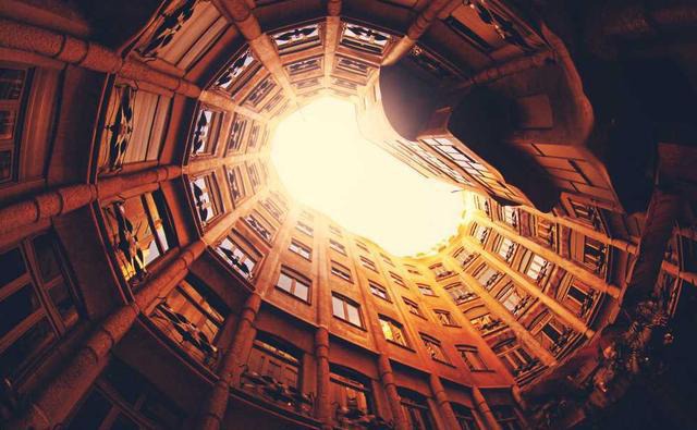 寵物營養健康講座 - 如何選擇適合的寵物食品