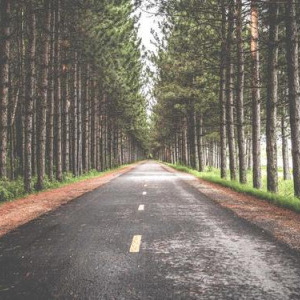 寵物專用的我們人類可以吃嗎?