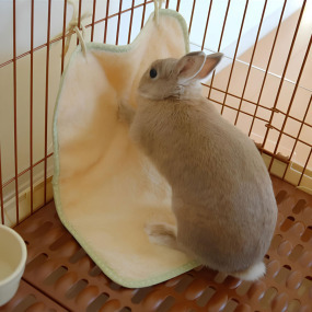 產品小圖