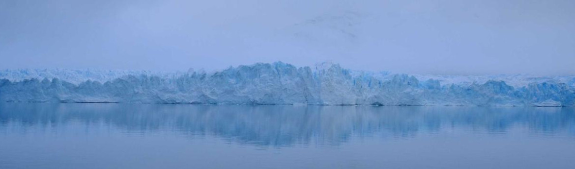 DoggyMan 無添加食品系列